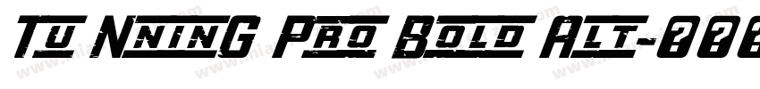 Tu NninG Pro Bold Alt字体转换